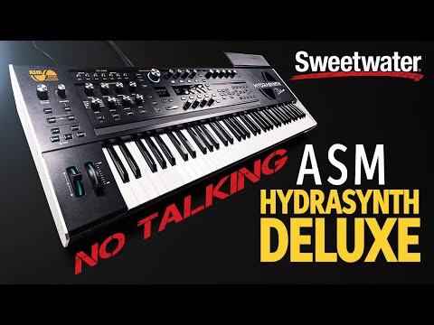 ASM HYDRASYNTH Deluxe G社 ハードケース付 ASM HYDRASYNTH Deluxe G社 ハードケース付 - メルカリ