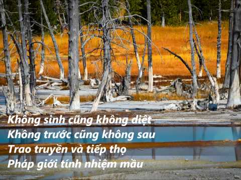 Thể hiện bởi Ngọc Sơn