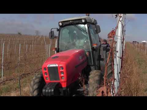 Introductory film for Albena Simeonova farm