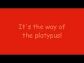 Phineas And Ferb - The Way Of The Platypus ...