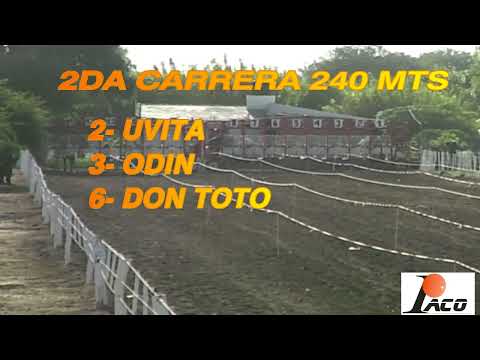 UVITA HIPODROMO EL DESCUIDO EL BRETE 22 05 2022