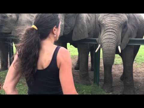 Inspired by Iceland in SOUTH AFRICA - Emiliana Torrini - Jungle Drum -