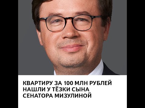 Квартиру за 100 млн рублей нашли у тёзки сына сенатора Мизулиной