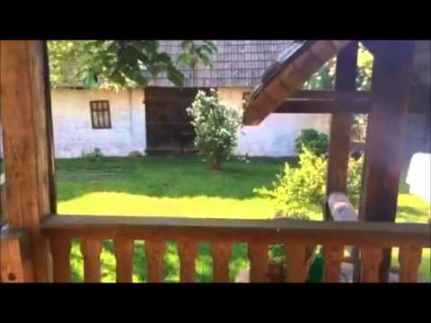 Agroturystyka Łosinek - nad Biebrzą naturalnie!