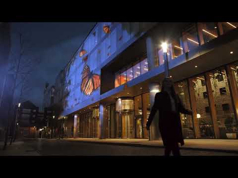 Make a name for yourself with IrishJobs