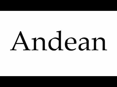How to Pronounce Andean