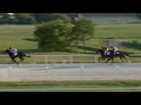 2017.05.19. 1. futam - LOVASUTÁNPÓTLÁS KUPA II. FUTAMA HENDIKEP (V.o.) (szintetikus pálya)