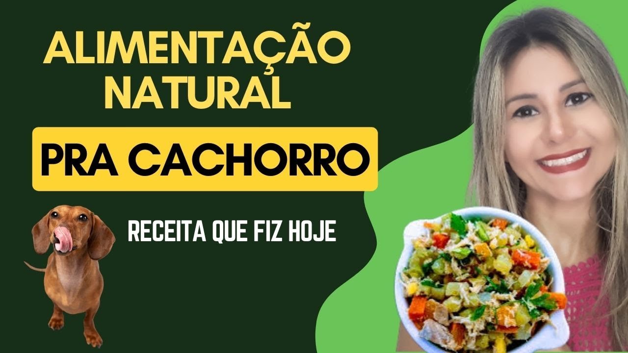 Receita de Comida Natural para Cachorro, Cachorro pode comer comida caseira?