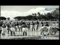 Kaamam Agatriya Song HD Nandanaar