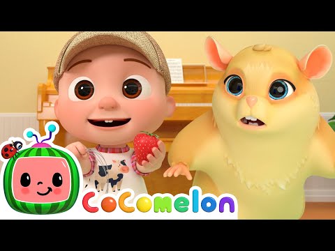 Lost Hamster - Class Pet | @CoComelon & Kids Songs | Learning Videos For Toddlers