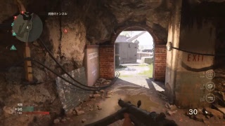 COD:WW2 マルチ　録画用配信