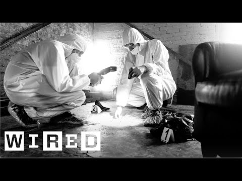 法医昆虫学者が明かす、昆虫が不審死の謎を解く方法 | WIRED Japan