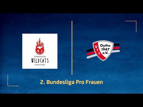 Sparkassen Wildcats Stralsund – VfL Oythe (2. Volleyball Bundesliga Pro F 25/26)