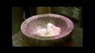 "YOISHO DUB"  Skatalites cover by Jideh High