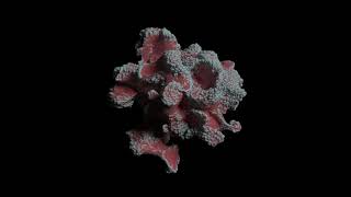 Aera - Little Smasher video