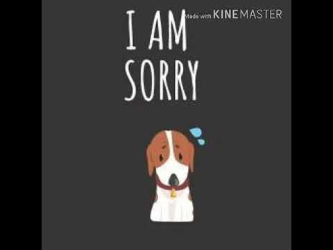 skp feat. rachyo - sorry (ขอโทษ)