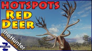 Best Spots for Red Deer Parque Fernando