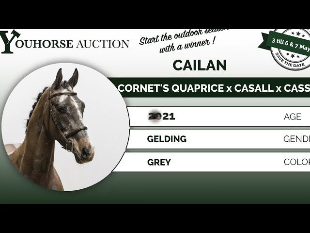 Cailan 4yo competition