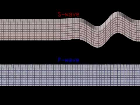 S and P waves