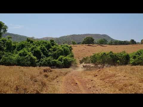Fazenda 16,3 Alqueires em Jaraguá-GO!! Rica em água, 80% plana - Vendas (62) 98300-3000