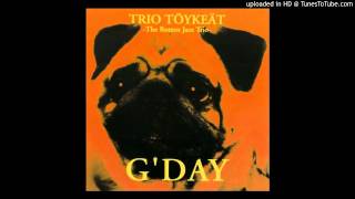 Trio Töykeät - Giant Steps