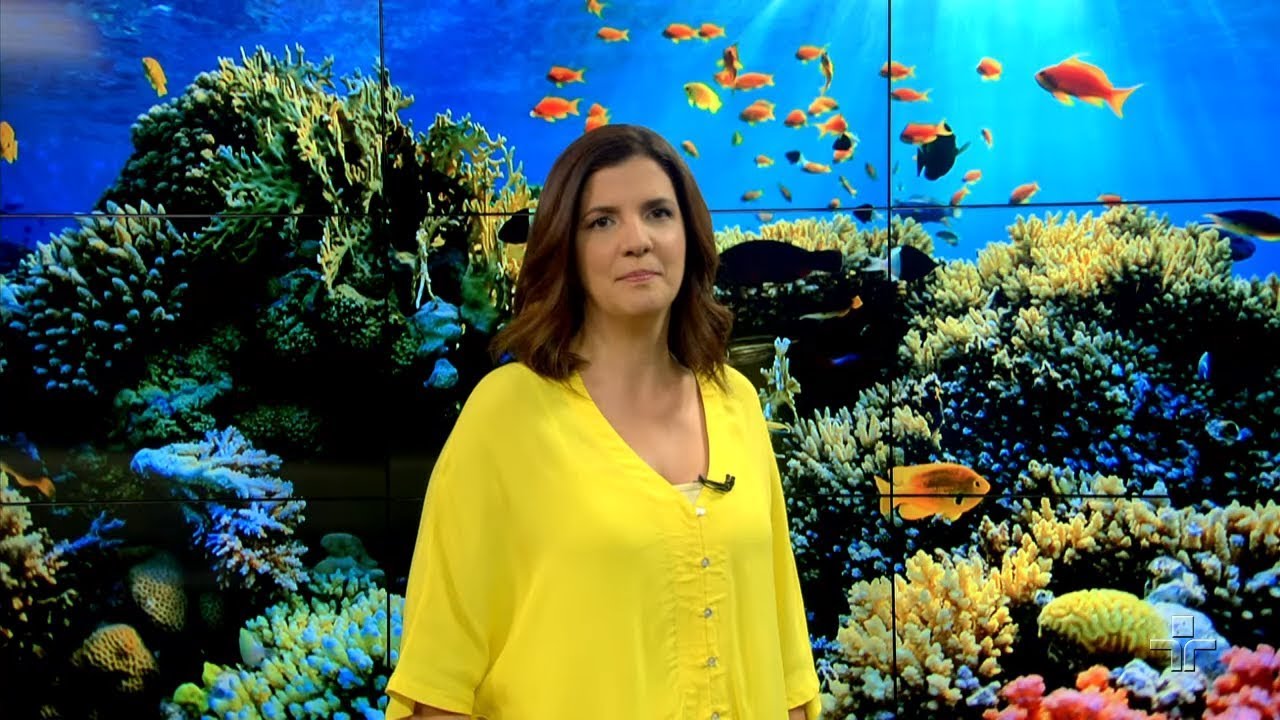 Matéria de Capa | SOS Oceanos | 08/12/2019