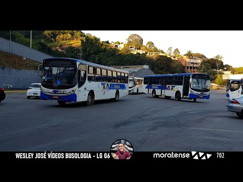 Apache VIP II sc - MB OF-1722M - 702 Moratense #Pegada