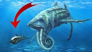 5 MONSTRUOS MARINOS MAS GRANDES Que Un MEGALODON.