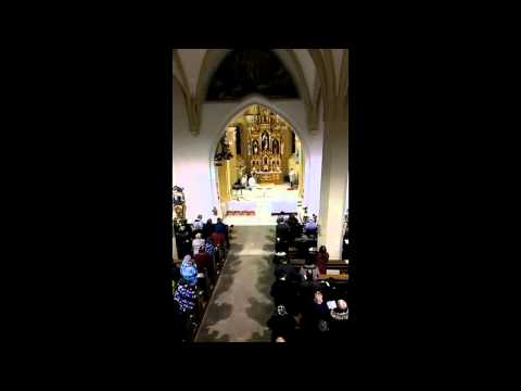 JKS 33 - Zdravas', Mária krásna (Ave Maria klare)