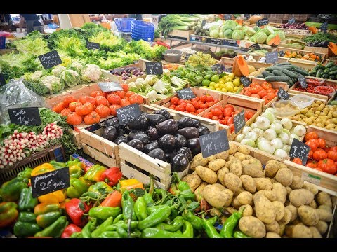 Portion Control 101: Tips from an Expert!