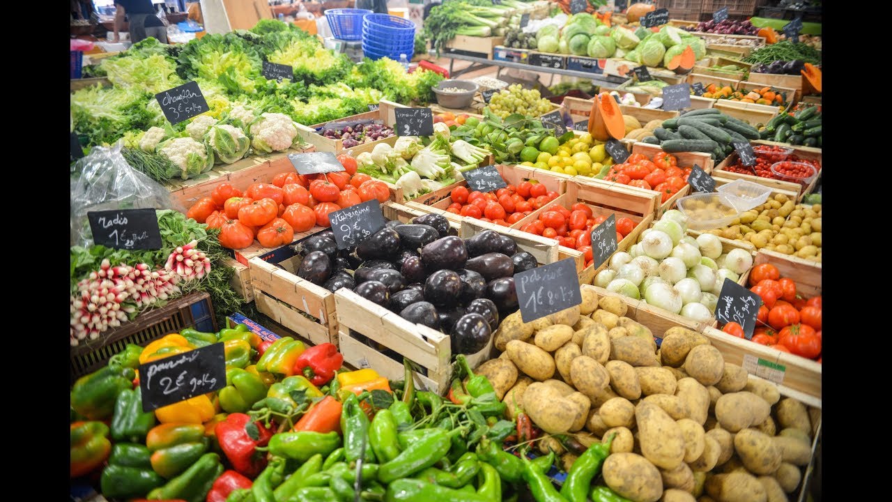 Portion Control 101: Tips from an Expert!