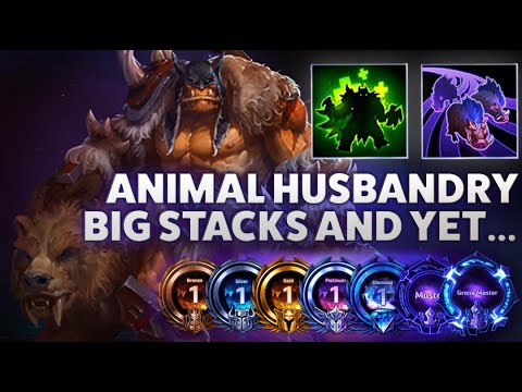 Rexxar Boars - ANIMAL HUSBANDRY BIG STACKS AND YET... - Bronze 2 Grandmaster S1 2022