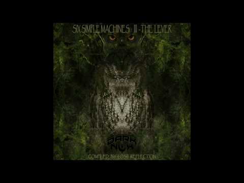 Neverwaz & Lost Reflection - Lever Rain