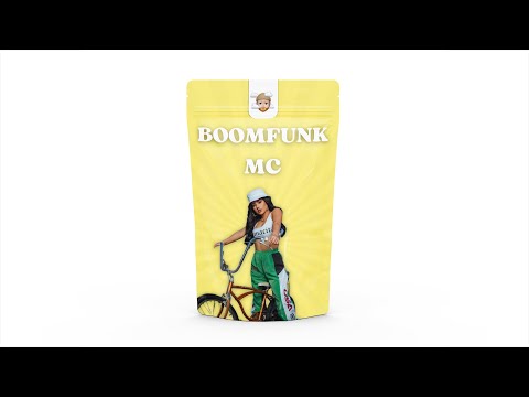 [FREE] APACHE 207 x 01099 x Pashanim x BHZ DnB Type Beat "BOOMFUNK MC" | Dark DnB Ski Aggu Type Beat