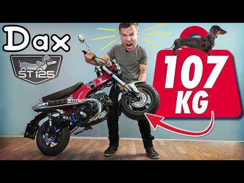 HONDA DAX 125 CCM DAS CAMPER MOPED?