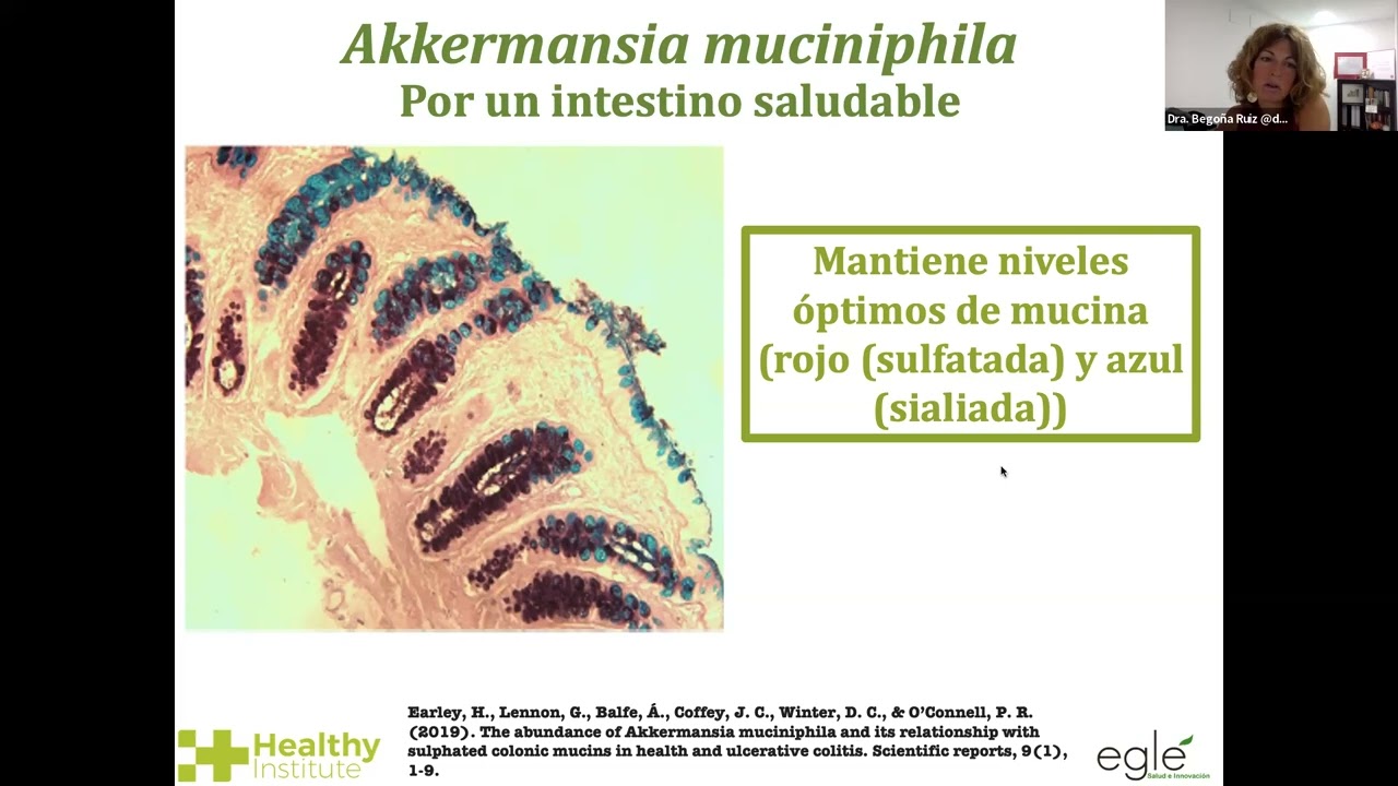 Webinar 5: 'Akkermansia muciniphila: ¿qué y para qué?' por la Dra. Begoña Ruiz Núñez