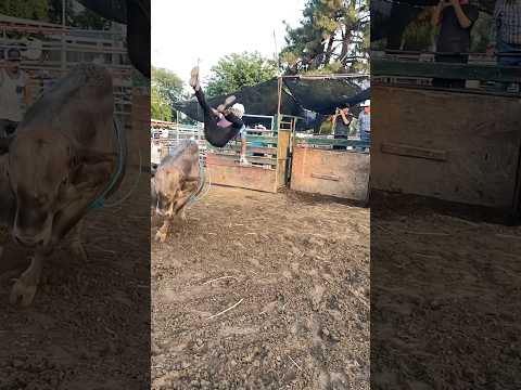 🪽🚀Man’s first bull ride goes zero gravity!!! #bullriding #pbr #rodeo #video