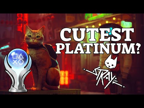 Cutest Platinum? Stray Platinum Standard