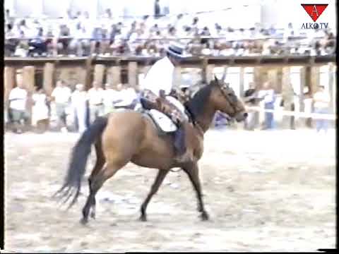 Carreras de cintas - San Roque