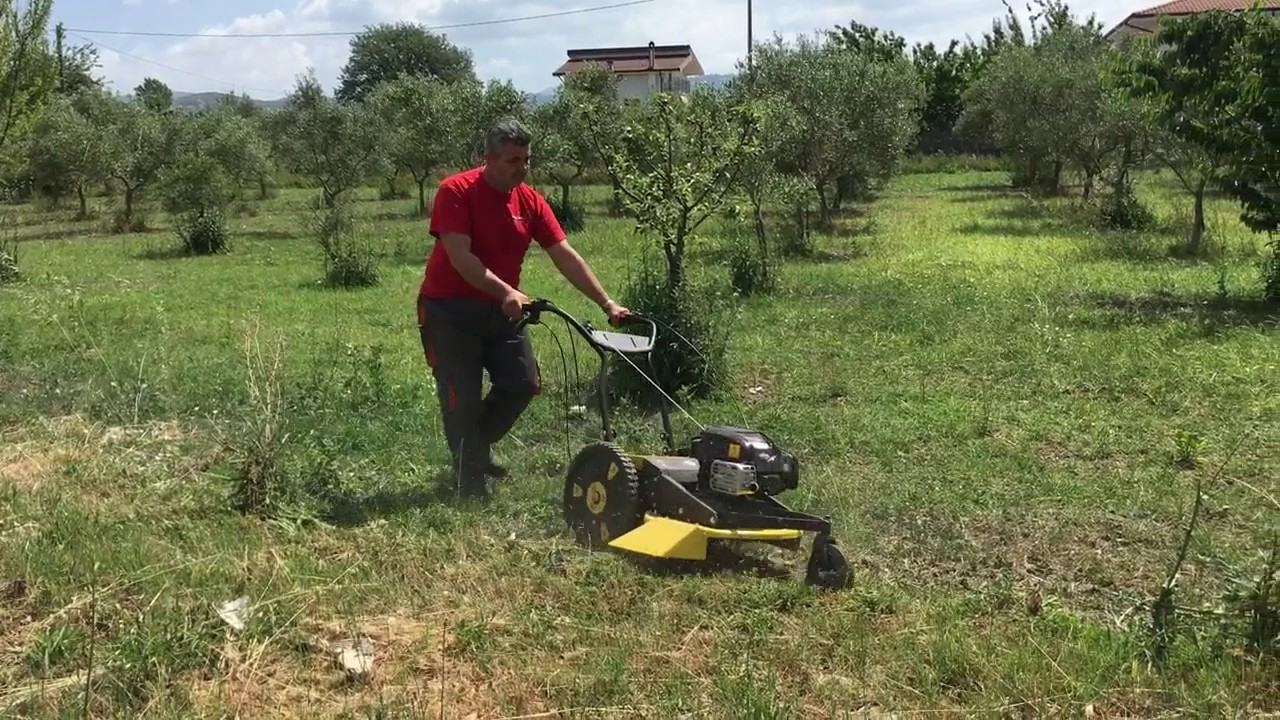 Tondeuse débroussailleuse
