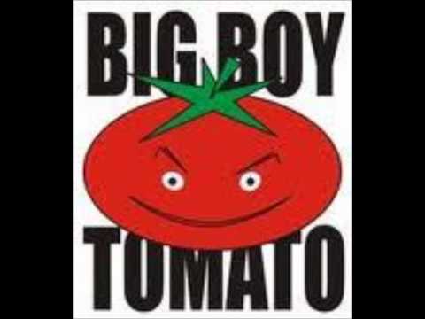 Big Boy Tomato - Jack