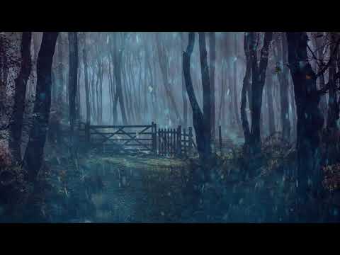 Instrumental Music and Khong Loi Nhac