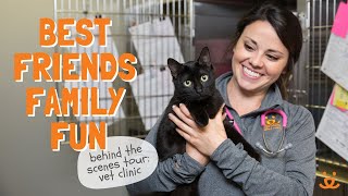 Working At Best Friends Animal Society: Employee Reviews And Culture - Zippia Working At Best Friends Animal Society: Employee Reviews And Culture - Zippia