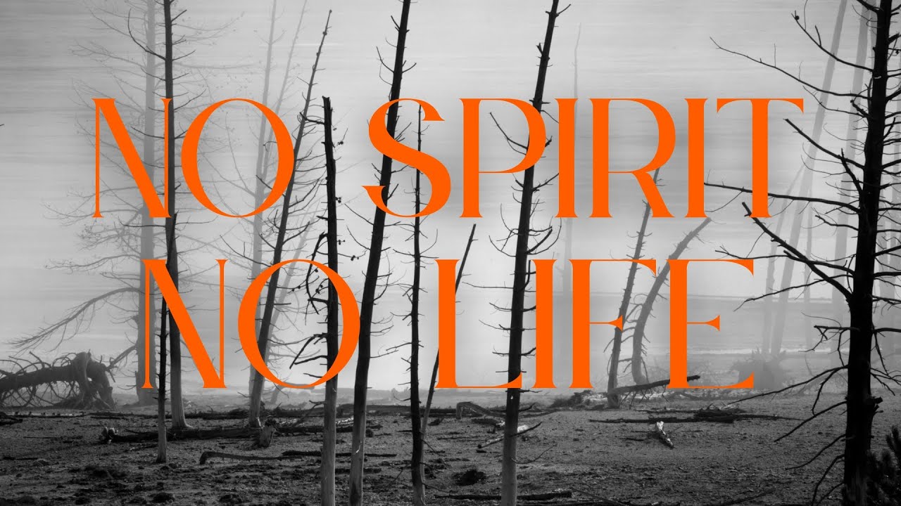 No Spirit, No Life