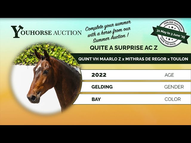 Quite a Surprise AC Z