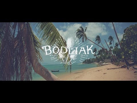 Zdenka Predná - Bodliak (Oficiálne video)