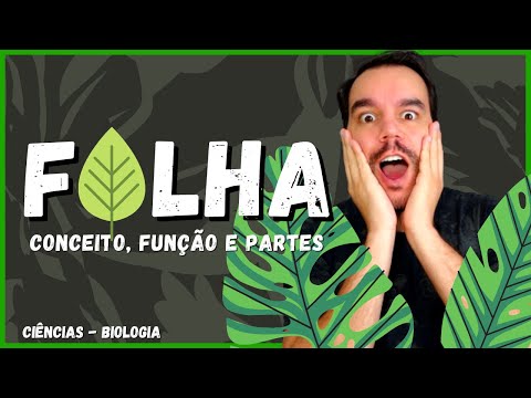 FOLHAS - Morfologia vegetal | Funções - Partes - Nervuras - Filotaxia | Ciências/Biologia/Botânica.