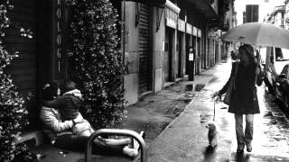 Midnight Moon - Waterstrider