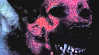 i stare at floors - protomartyr
