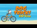 AFV Season 25 Episode 15 Show Highlights1